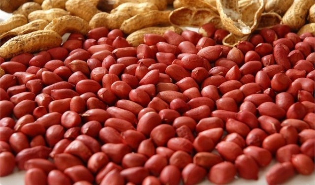 SEMENTES DE AMENDOIM